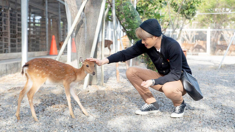 jongin with a deer